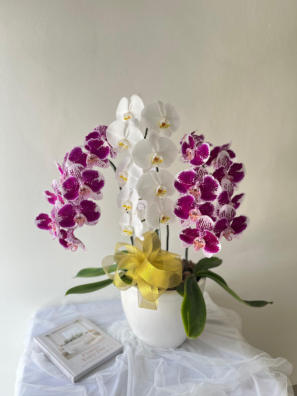 Orchid in Vase