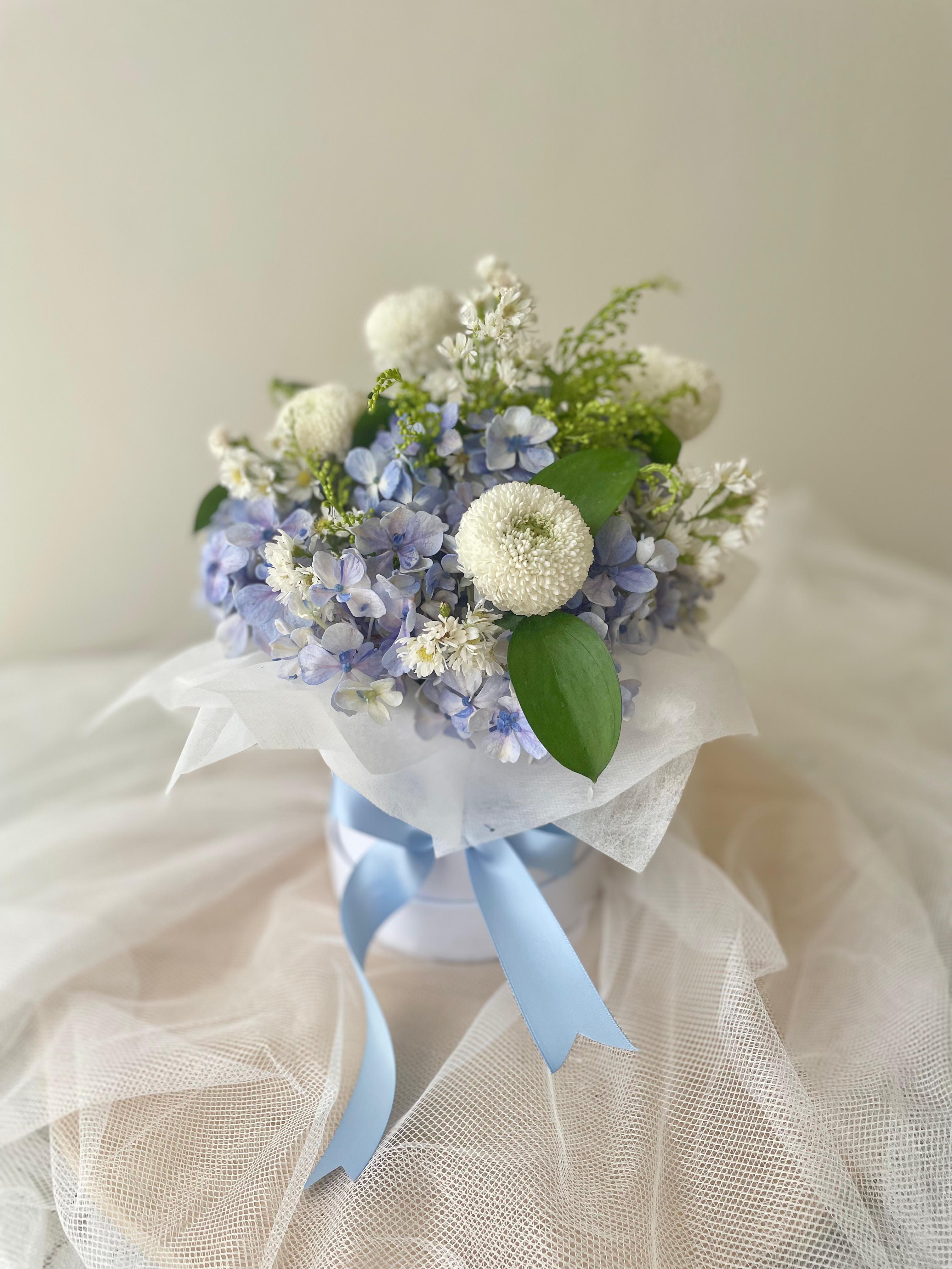 Hydra Pom Parade Bloombox