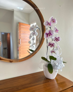 Orchid in Vase