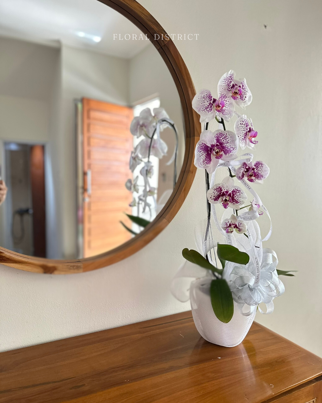 Orchid in Vase