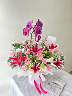 Orchid Grandeur Bloombox