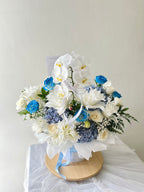 Orchid Grandeur Bloombox