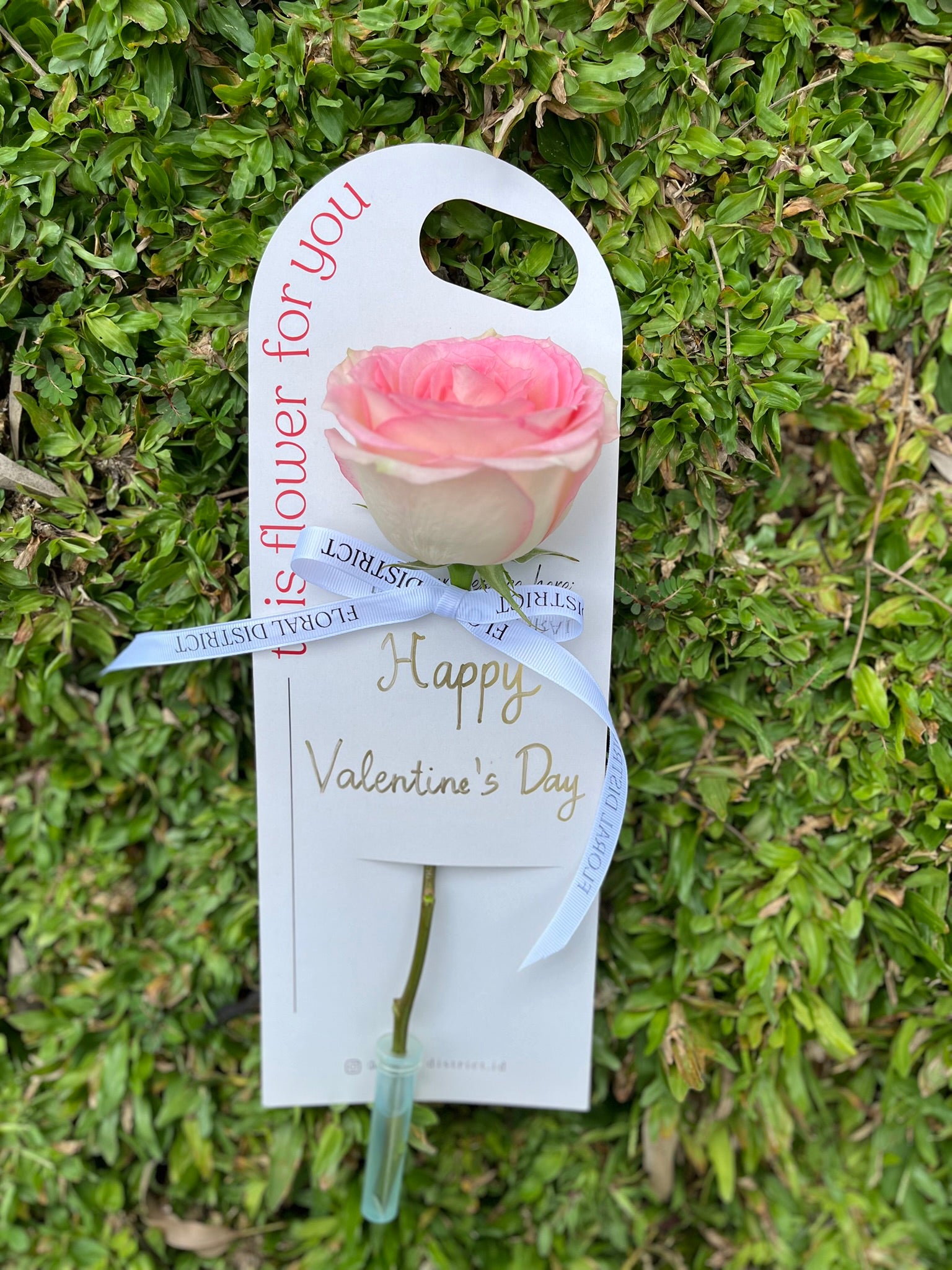 Love Note Bloom