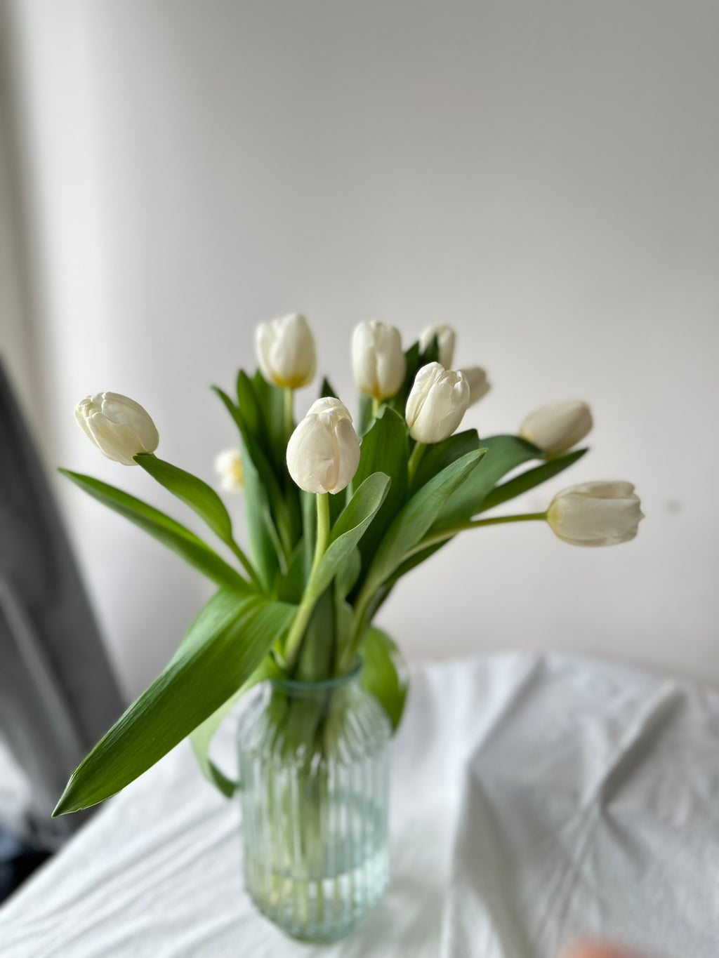 Tulips in Vase