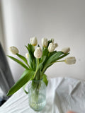 Tulips in Vase