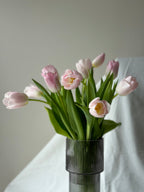Tulips in Vase