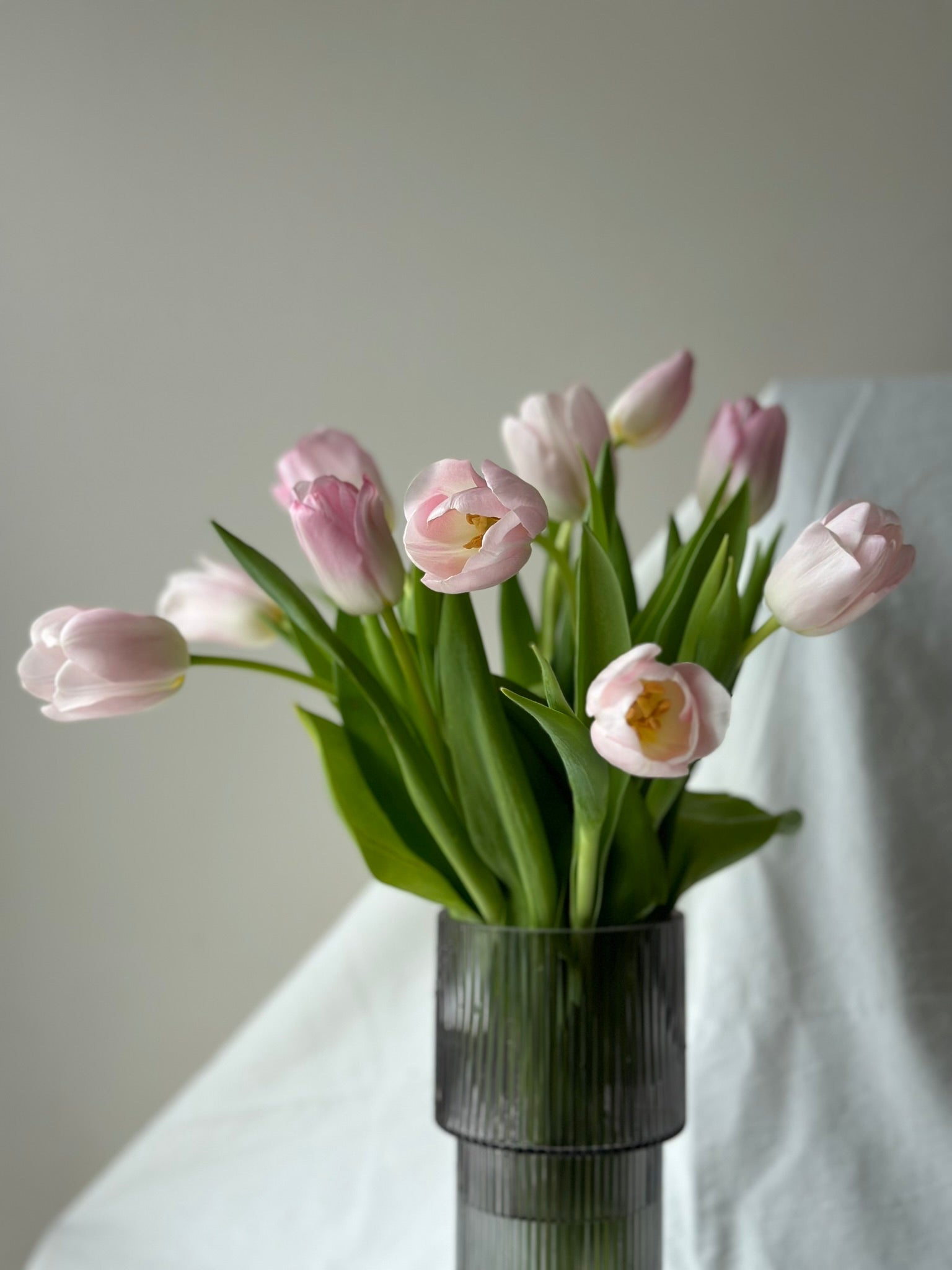 Tulips in Vase