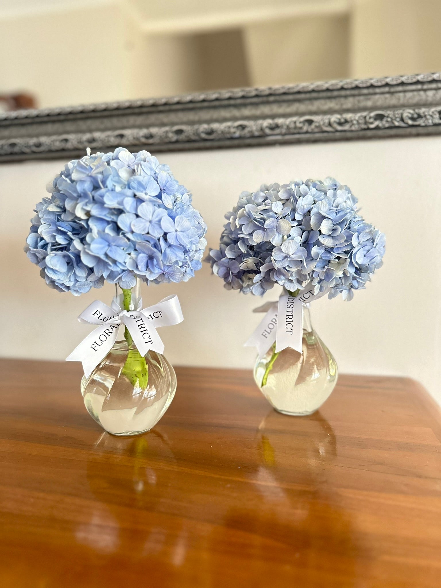 Hydrangea in Vase