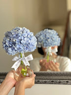 Hydrangea in Vase